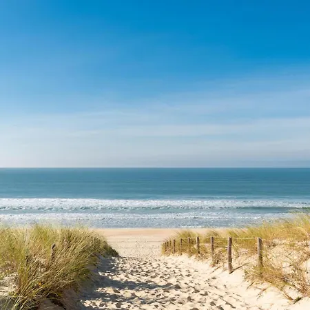 1 Bedroom Beautiful In Apartment Arcachon
